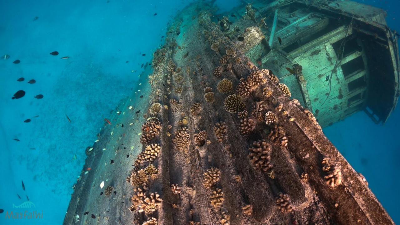 Masfalhi View Inn Felidhoo Zewnętrze zdjęcie