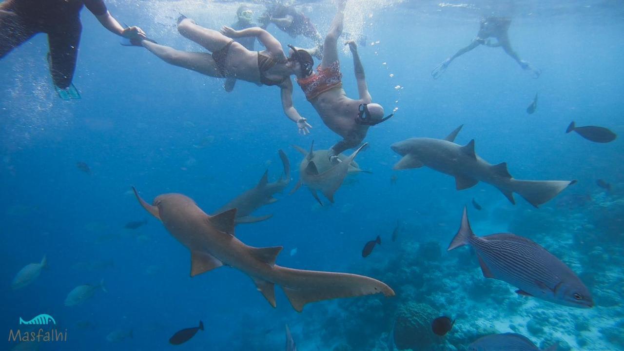 Masfalhi View Inn Felidhoo Zewnętrze zdjęcie
