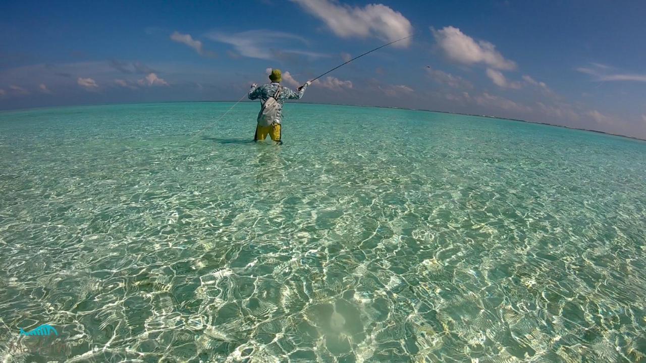 Masfalhi View Inn Felidhoo Zewnętrze zdjęcie