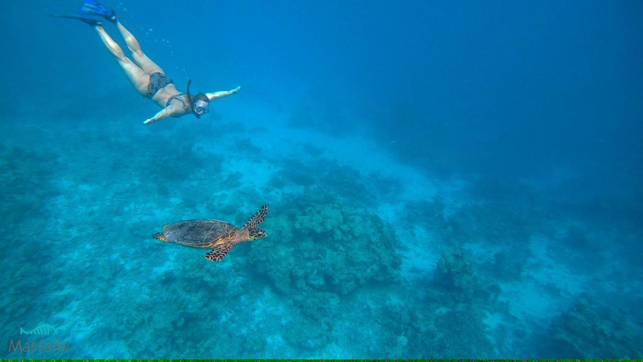 Masfalhi View Inn Felidhoo Zewnętrze zdjęcie