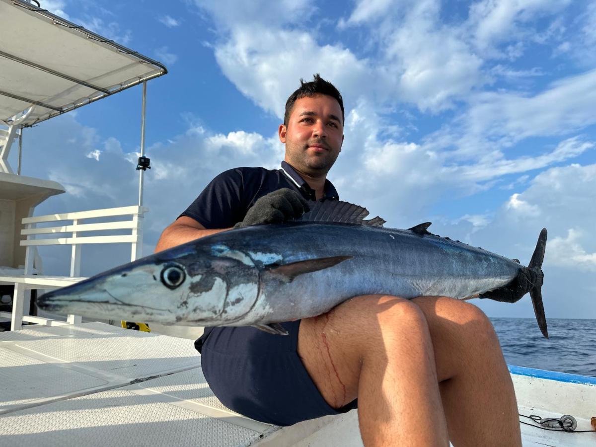 Masfalhi View Inn Felidhoo Zewnętrze zdjęcie